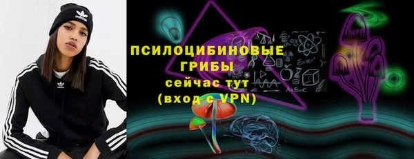 spice Дмитровск