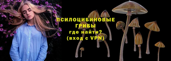 гидра Дмитриев