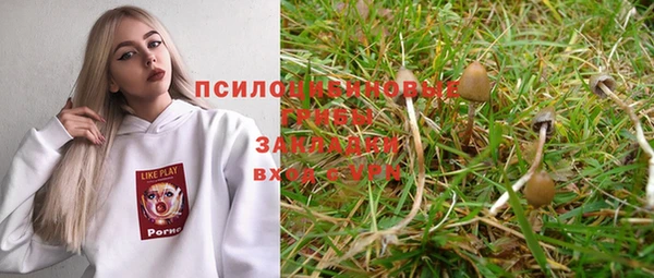 гидра Дмитриев