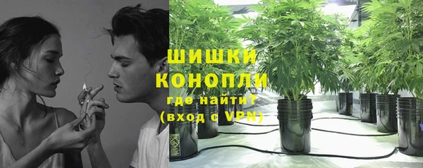 гидра Дмитриев