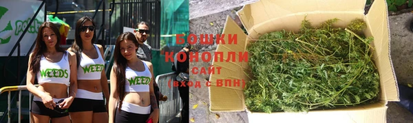 spice Дмитровск